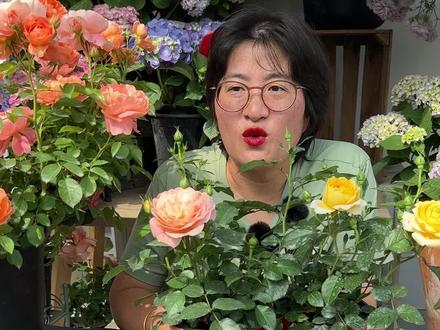 养好你的第一盆月季花,四个步骤教会你@抖音小助手 #月季玫瑰 #宅家的治愈是花花给的