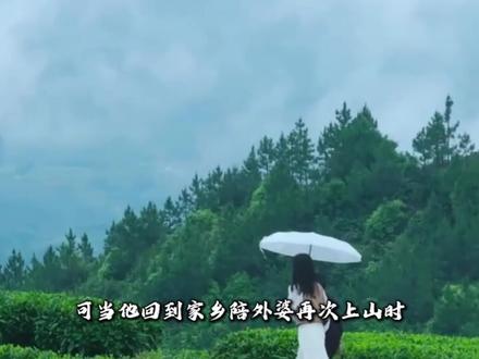 茶花开了岁岁年年,年少不懂外婆的偏爱,长大后才知那台 MP3,是外婆用汗水换来的全部温柔。#林晨阳 #茶花开了 #治愈歌曲 #外婆 #亲情