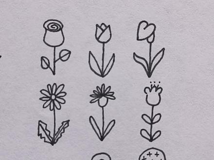 只会画第一个小花的人请举手,看完这个视频,学画不一样的小花#画画 #简笔画 #我一出场就超闪 #小花 #花朵