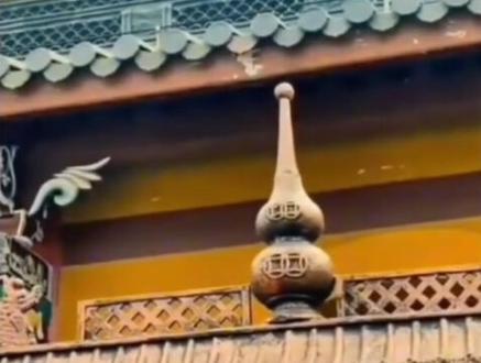 赊刀人的预言准确率皆百分之百