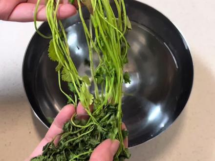 蔫了的香菜先别着急扔#香菜 #厨房小妙招