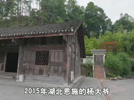 一棵树能卖2.3亿,比黄金还贵的金丝楠木,树苗12元为啥没人种?
