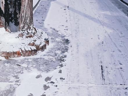 怪不得凌晨会下雪,
原来是蔡徐坤新专辑上线了,
怪不得天会放晴,
原来是以坤自己命名的新专辑《KUN》单平台一个小时破3000W,
十一首歌直接屠了榜单,
十五分钟打破限购机制以来的销量记录。
MV叙述了坤的心境历程,
用两个词形容就是断臂求生和涅槃重生。
你的隐喻我们会读懂。
《Colder》前奏一响,直击我心❤️
手都冻麻了,大家快去听!!
#kun #蔡徐坤 #蔡徐坤新专辑kun #新歌上线 #抖音二创激励计划