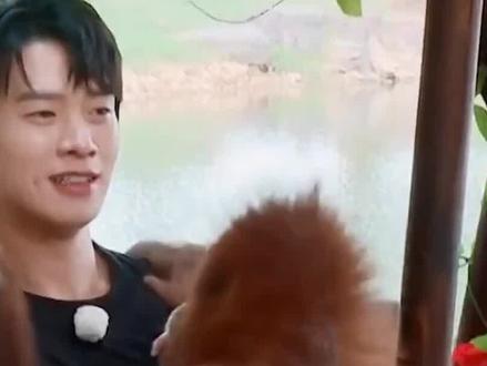 魏大勋《繁华落尽》开播彩蛋