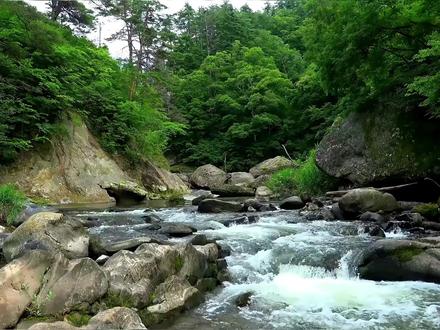 二年级上册语文《快乐的小河》课文动画 《快乐的小河》讲述了小河因撞到大山而抱怨,然后在大山的开导下,先后和泉水、瀑布成为好朋友,最后三个小伙伴一起流向远方的故事。文章告诉我们:遇到困难与挫折时,要勇敢、乐观地面对。同时,朋友之间要互相陪伴、共同前进、团结合作。#二年级 #二年级语文 #二年级上册语文 #幼小衔接 #家长收藏孩子受益