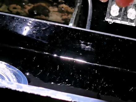 狠起来连自己都毒