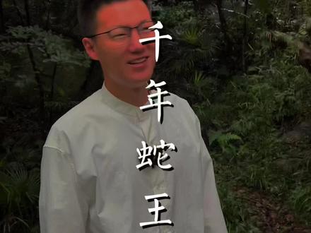 普陀山“千年蛇王”竟然斗法失败???最终潜心修行,你认为蛇王是否能修成正果?#旅行大玩家 #文化和自然遗产可以有多酷