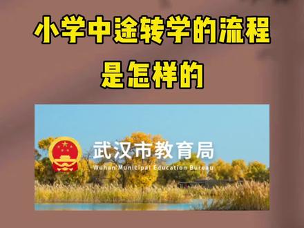 小学中途可以转学吗?转学流程是怎样的?一起来看看吧!#幼升小#小升初#转学#中途转学
