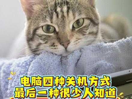 电脑的四种关机方式,最后一种只有极少数人才知道,看看你这四种都会吗?#笔记本电脑 #电脑知识 #电脑冷知识 #联想 #联想拯救者