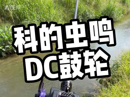 性价比DC鼓轮来了 #科的虫鸣DC鼓轮 #DC鼓轮 #新手鼓轮推荐 #鼓轮 #科的鼓轮