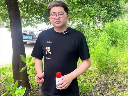 #环嗪酮杀大树 到底好不好用?看看你用对了吗?#正能量 #除大树 #除竹子