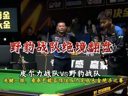 决金赛重磅来袭!决金E组野豹战队逆风翻盘皮尔力战队!#郑宇伯 #张泰艺 #代勇 #郑肖淮 #决金中式九球