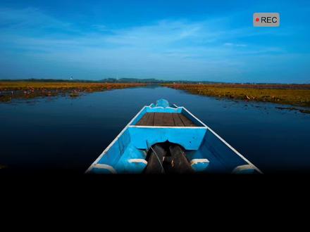 道法自然 一生二二生三三生万物#国学文化 #智慧人生 #道德经