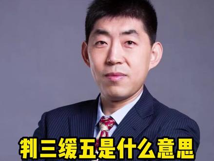 判三缓五是什么意思?#普法 #刑事律师 #无障碍公益普法 #抖来普法2022