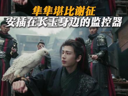 集集堪比谢征安插在长玉身边的监控器#逐玉 #张凌赫 #田曦薇