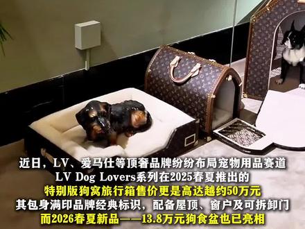 LV一款狗窝售价50万 #LV #宠物用品 #狗