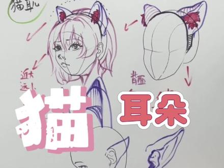 一口气讲完猫耳朵咋画!#绘画教程#手绘#零基础学画画#人体结构#人体解剖学