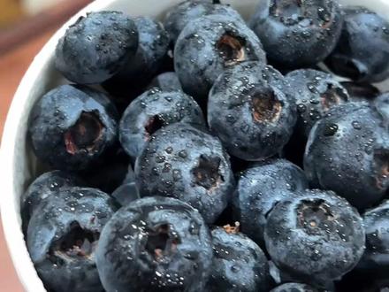 蓝莓蓝莓居然还有粉色的 #蓝莓 #水果 #粉色 #科普