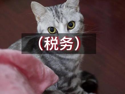 税收征管法修订征求意见稿解读