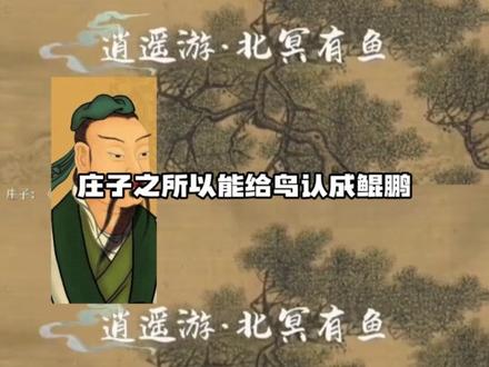 鲲鹏原来是真的!#东营 #庄子 #鸟浪 #大自然