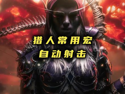 猎人必备宏命令,自动射击宏,猎人一键宏