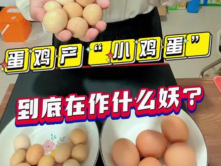 蛋鸡产“小鸡蛋”到底在作什么妖?#产小鸡蛋的原因 #异常蛋 #小鸡蛋形成的原因 @抖音热点