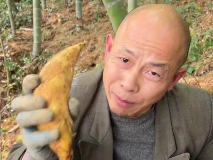 兄弟们这招两年竹找冬笋技巧你们学会了吗#挖冬笋 #挖冬笋技巧