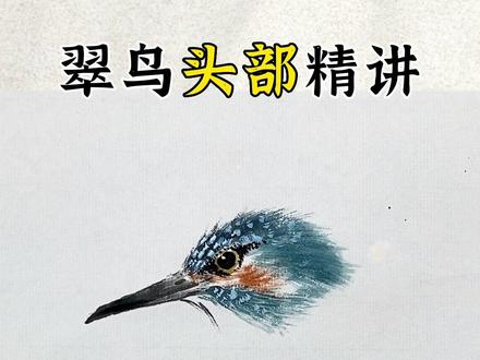 国画写意禽鸟入门教程,今天教你翠鸟头部的小写意画法! 【建议收藏!】想学的同学们一起来直播间学习吧!#国画 #国画也抖音 #写意花鸟 #国画教学