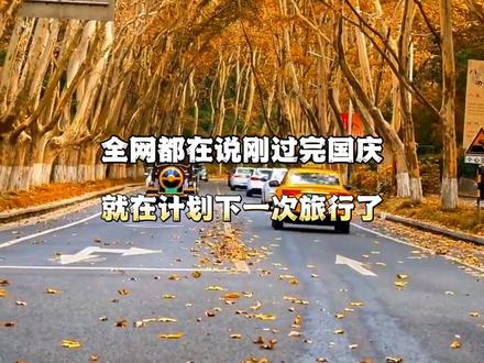南京赏秋指南,附有观赏时间,我猜你们肯定需要,毕竟南京的秋天美的让人想哭#总要来趟南京吧 #南京赏秋指南#旅行推荐官