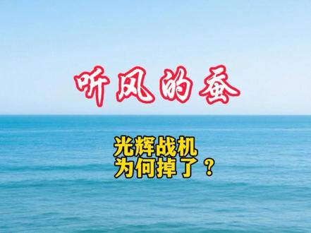 阵风战机,为何掉了?#国际