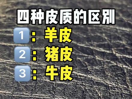 四种皮质的区别#科普 #知识分享 #涨见识 #皮革 @抖音小助手 @DOU+小助手