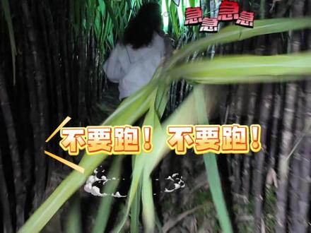 萍乡又有新玩法!亲手“偷”的甘蔗包甜~~~ @文支书在横岗 @连山村何福 #助农 #新农人 #我的乡村生活 #全球学子嘉游赣辣红萍乡正青春