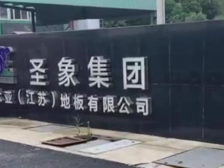 连降7年,地板大王”大亚圣象,2025净利润0.13亿元 #木业 #板材 #地板 #木地板 #热点新闻事件