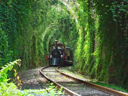 不是电影!昆明藏着一列开往春天的小火车。 附一日游路线,带娃这样玩不累妈~~#昆明 #凤龙湾童话镇 #昆明亲子 #昆明周边 #拍照