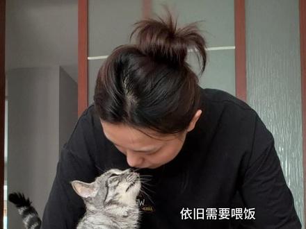 邦邦:咪把你当兄弟,你居然把咪当** #金渐层#美短虎斑猫 #好兄弟 #万物可爱计划