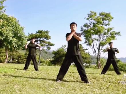 #武术 武术操(弟子规分享),有需要的朋友可以保存下!