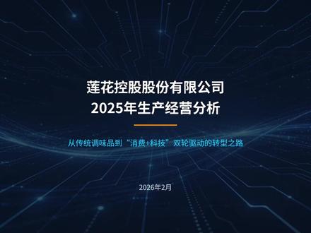 莲花控股股份有限公司2025年生产经营分析