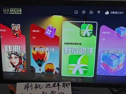 野草助手口令 长期有效稳定流畅 适合一个人看 #野草助手 #野草助手口令