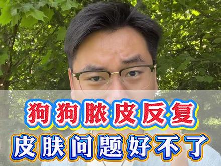 狗狗脓皮反复 皮肤问题好不了 记住这个方法 #养狗小知识 #脓皮症 #狗狗脓皮症 #宠物科普 #狗狗皮肤病