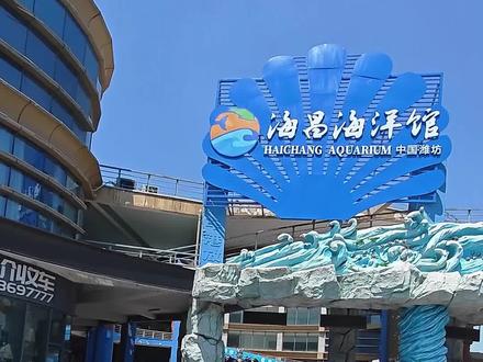 潍坊市区新开的海洋馆,来给你们探探路#奇妙的海洋生物 #一起看看海底世界 #海洋馆打卡 #海洋公园 #海狮 #蓝色治愈系 #神奇动物在抖音 #潍坊海洋馆