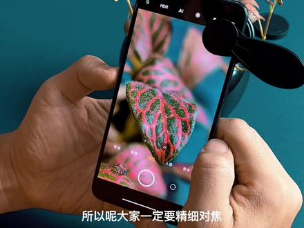 教你如何正确使用微距镜头。。。#微距镜头 #手机摄影教学