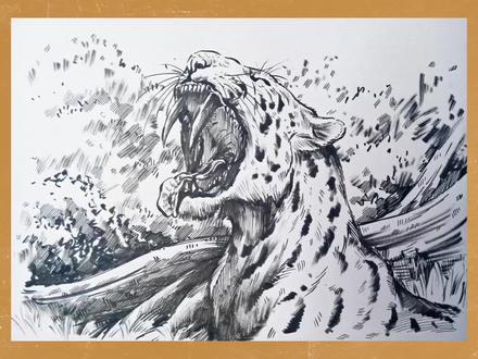 手绘【古生物】速写剑齿虎。#速写 #绘画 #古生物 #动物 #画画