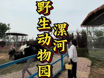 漯河野生动物园开园啦! 假期遛娃就来这儿吧!#五一假期去哪玩#动物世界#漯河新地标野生动物园#亲子游玩好去处#五一游玩攻略