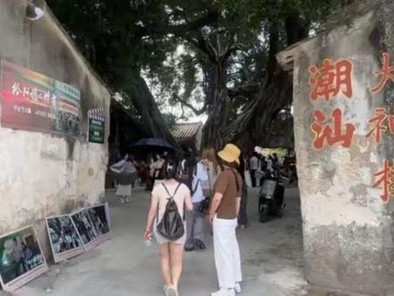 最新报道!电影《给阿嬷的情书》拍摄地大神树复原工作加快推进中!
#给阿嬷的情书 #给阿嬷的情书电影 #拍摄取景地#潮汕 #潮汕大神树