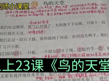 五年级语文上册第23课《鸟的天堂》课文讲解 #小学语文 #课文讲解 #学霸秘籍 #课文精讲