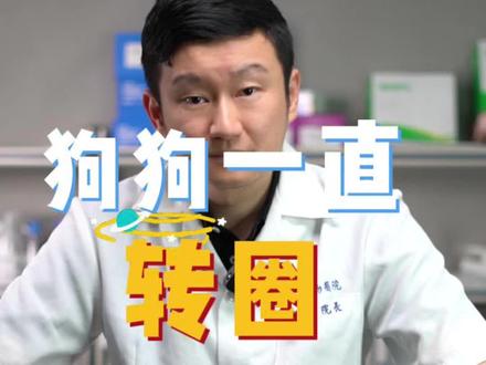 狗狗一直转圈圈是怎么回事?#兽医张旭 #科学养宠攻略