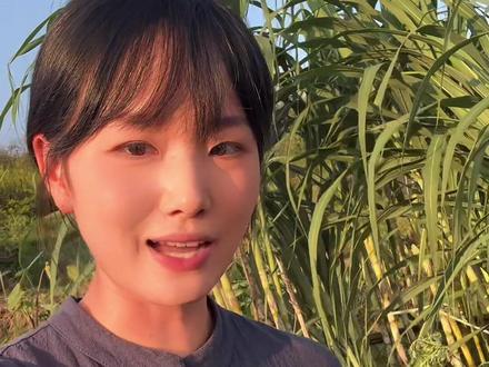 甘蔗怎么种?那你算是问对人了!#我的农村生活 #种植的乐趣
