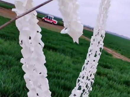 天干物燥,文明祭扫。清明上坟剪纸教学送给大家。#清明祭 @抖音小助手