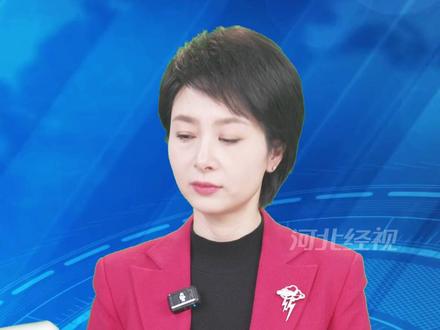 河北上调最低工资标准 标准不包含加班费、特殊工作环境津贴等有助于形成“涨工资”良性闭环#经视主播说 #工资 #关注