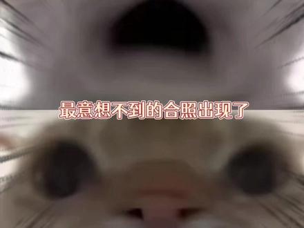 还是我孤陋寡闻了#严浩翔 #何洛洛 #欧阳娣娣 #张子枫 #毕业季